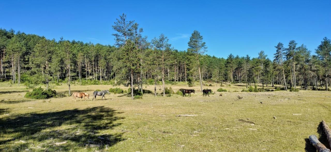 Alojamiento Rural Los Hacheros Tragacete Eksteriør billede