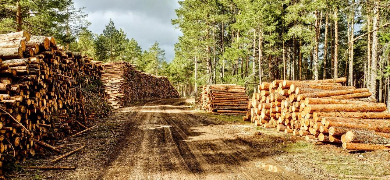 Alojamiento Rural Los Hacheros Tragacete Eksteriør billede