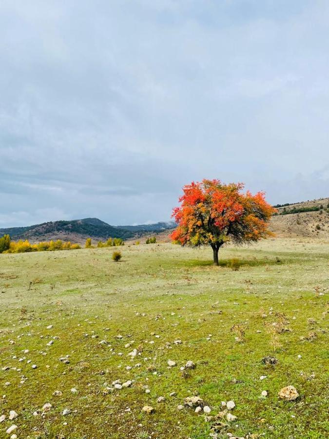 Alojamiento Rural Los Hacheros Tragacete Eksteriør billede